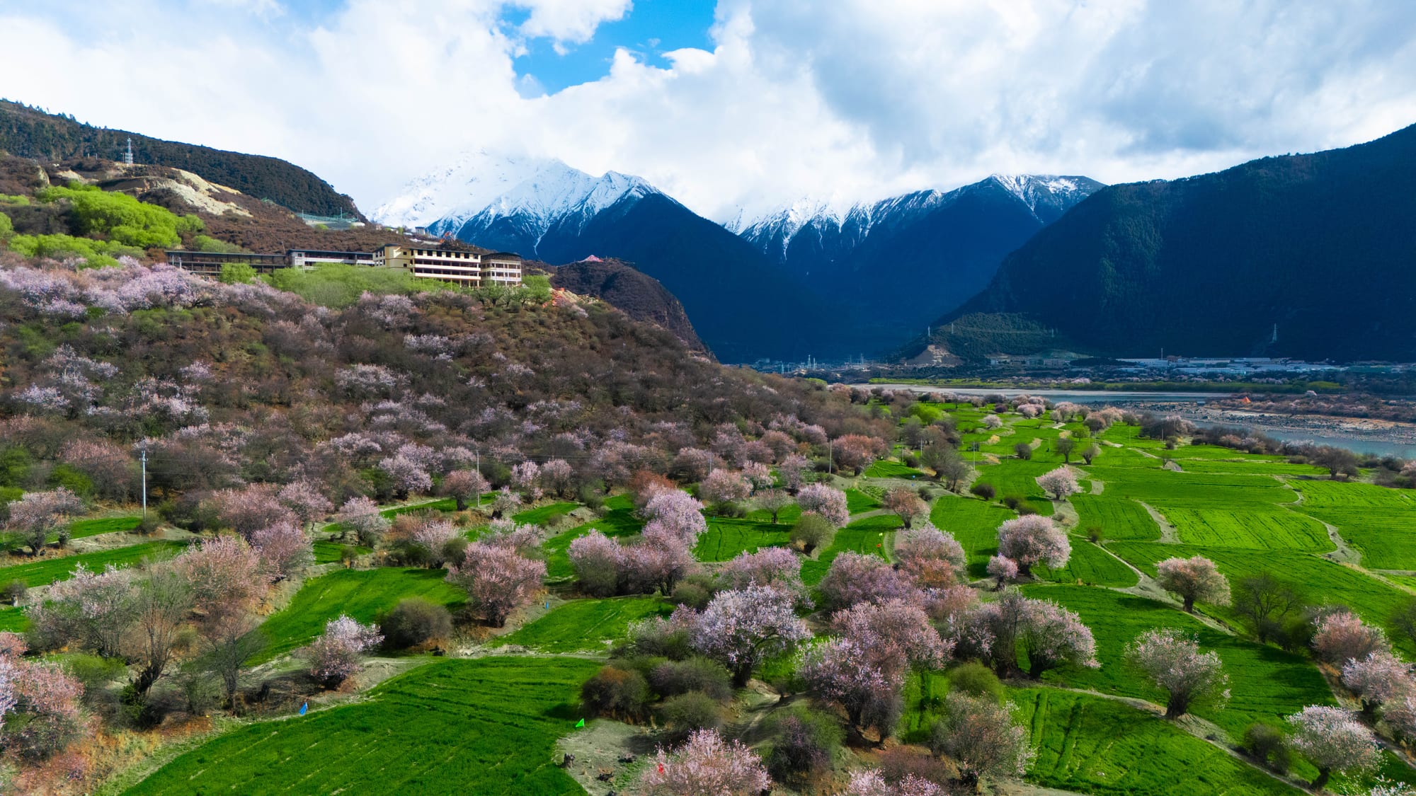 An aerial view of a blossoming mountain valley
