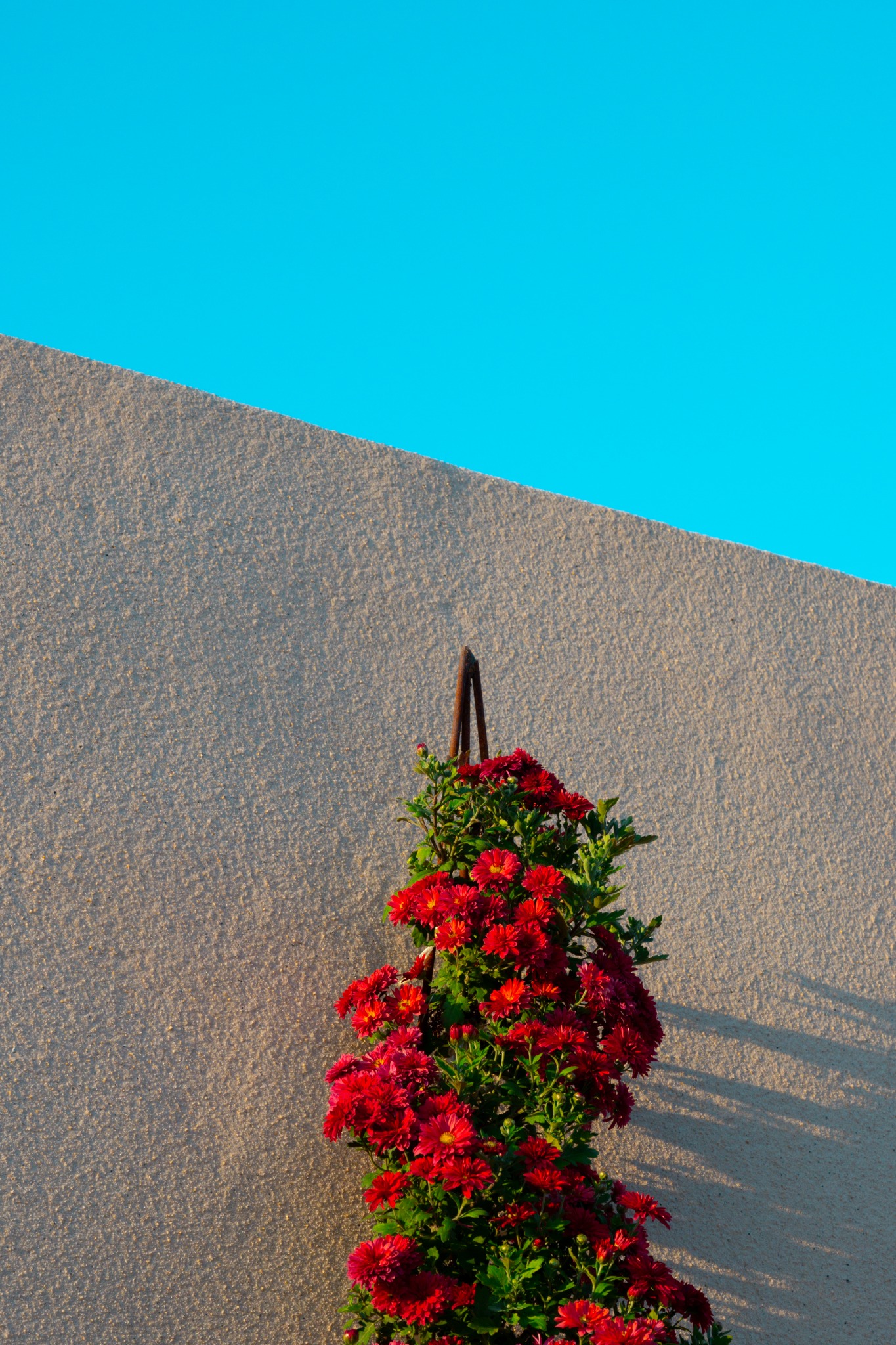 Red against blue