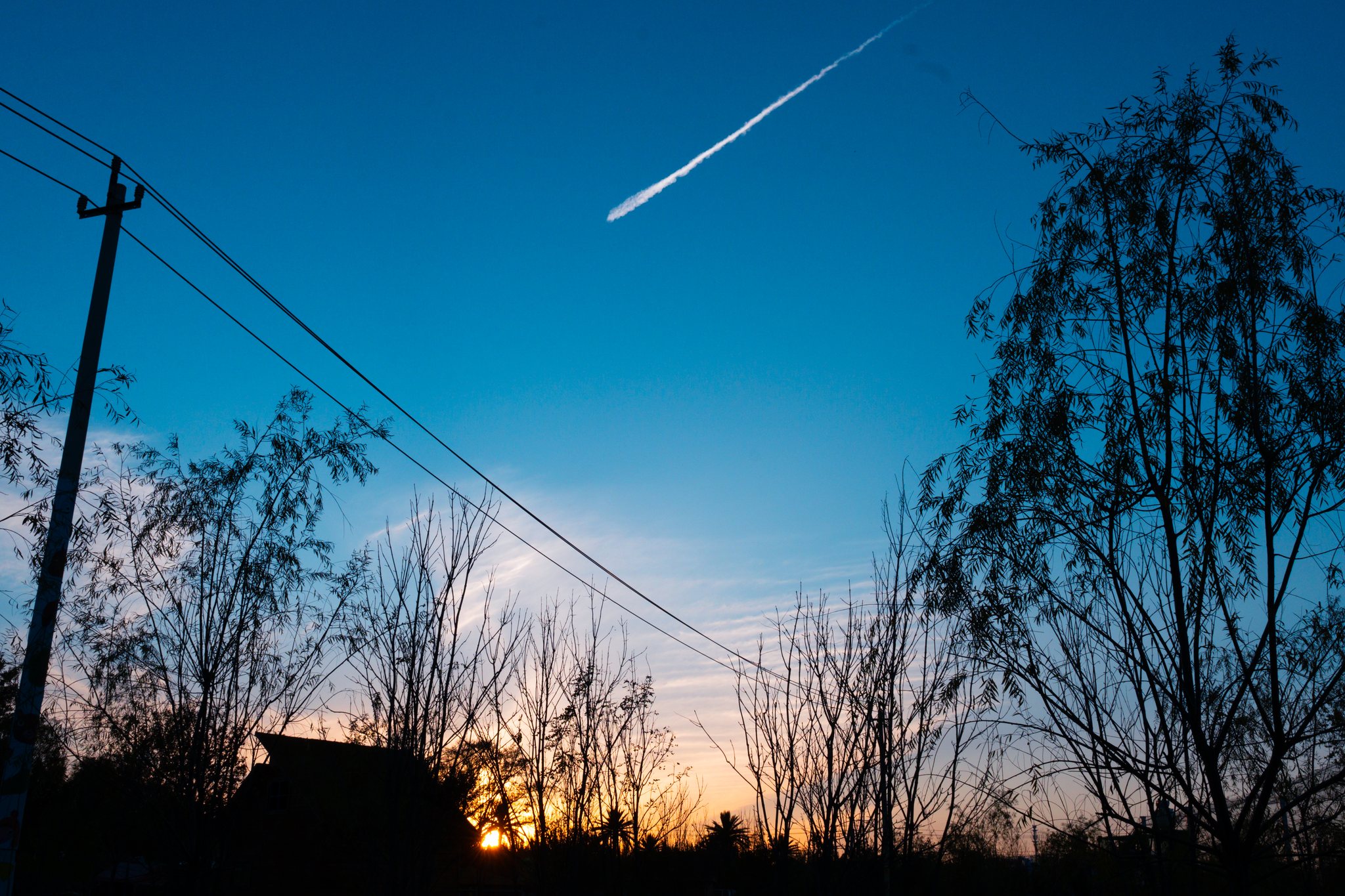 Vapour trail crossing a dusk sky above silhouetted trees