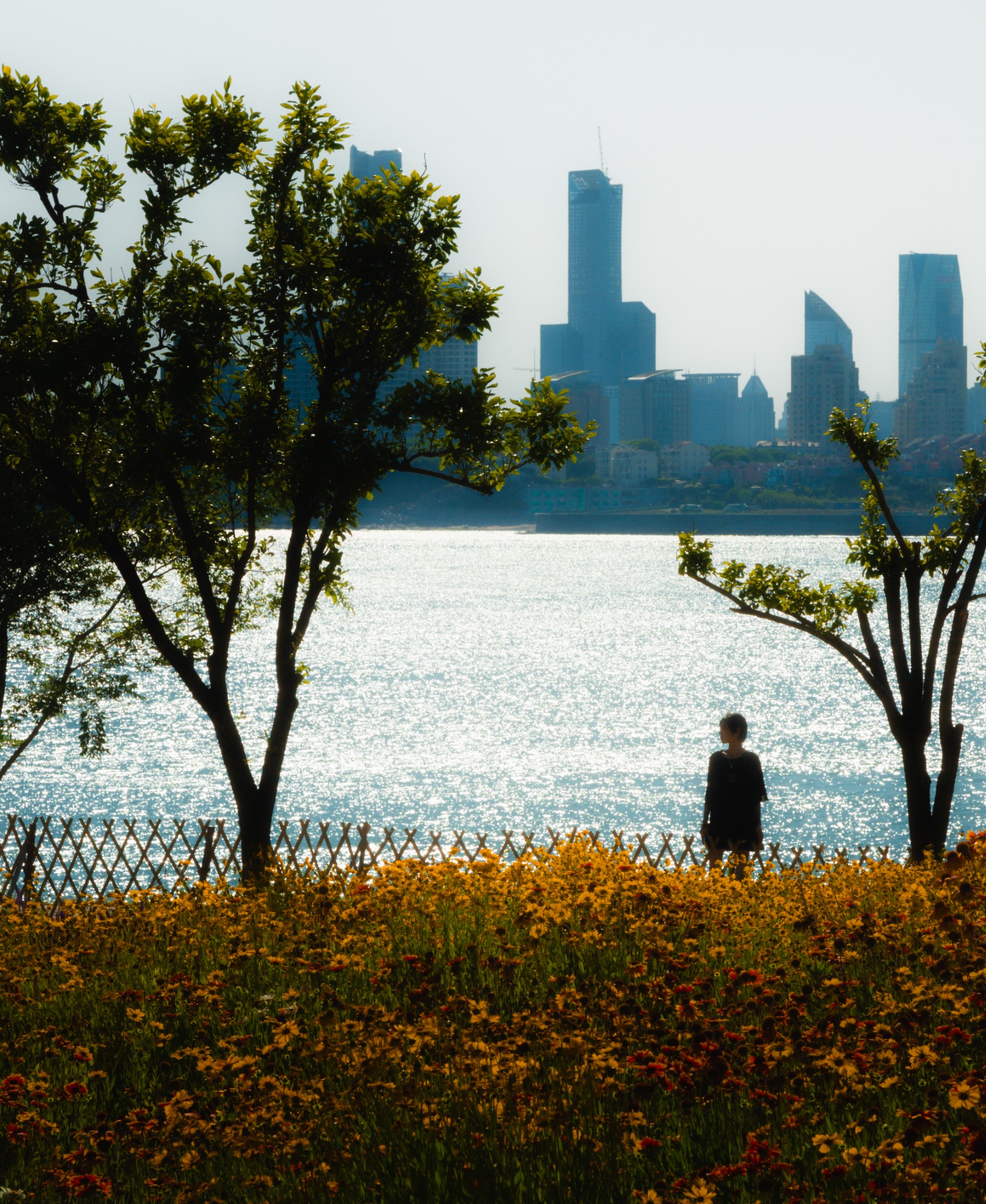 Distant shore