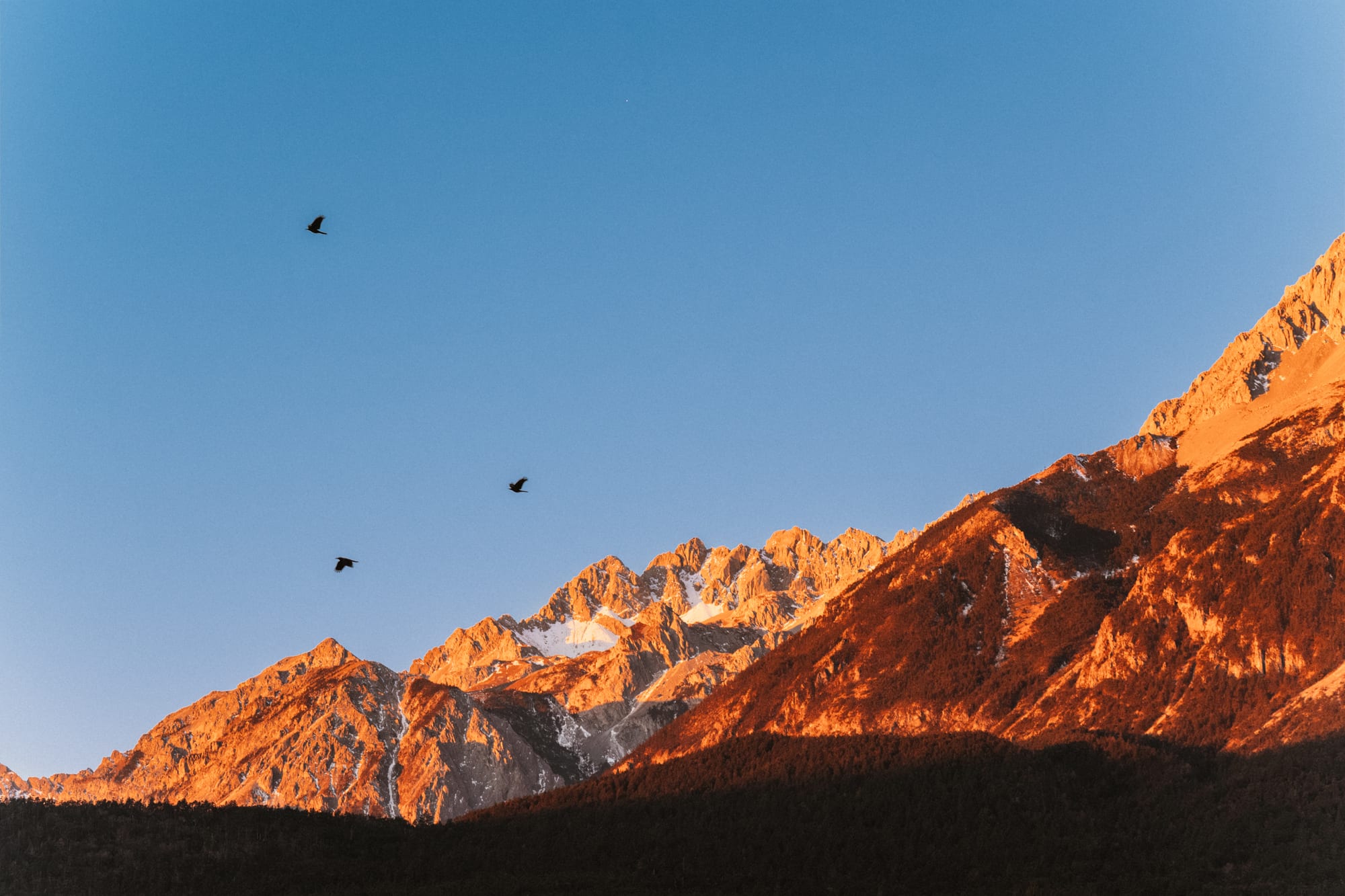Snow peaks glowing at golden hour with birds